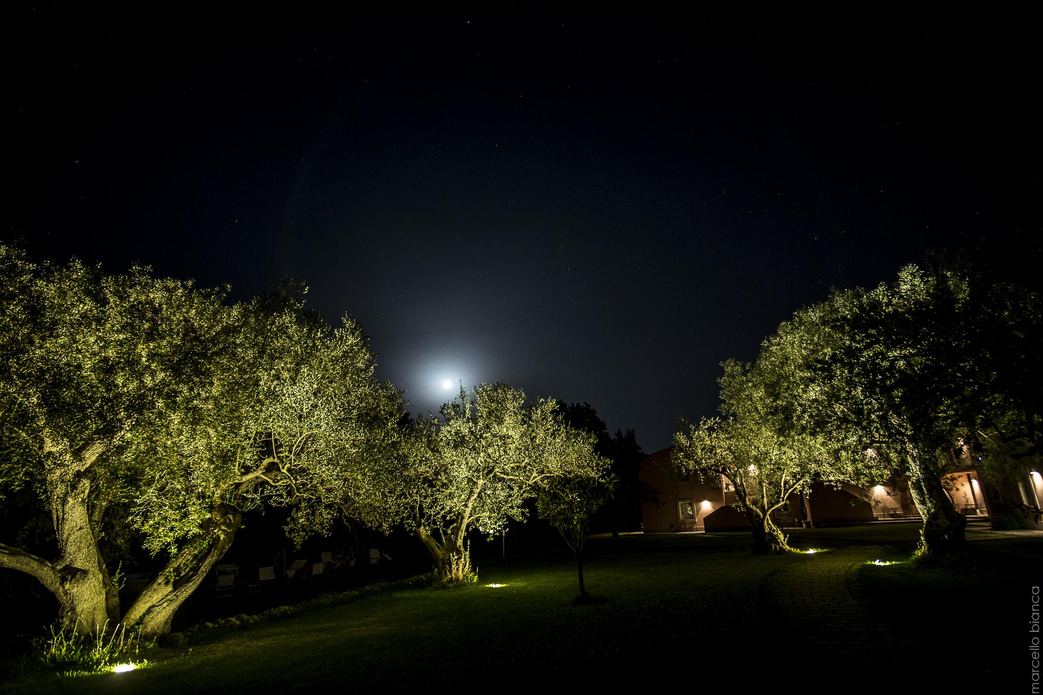 Masseria Degli Ulivi San Corrado di Fuori Exterior foto