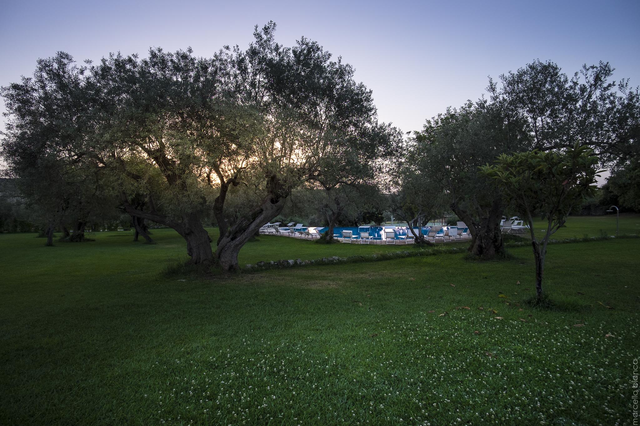 Masseria Degli Ulivi San Corrado di Fuori Exterior foto